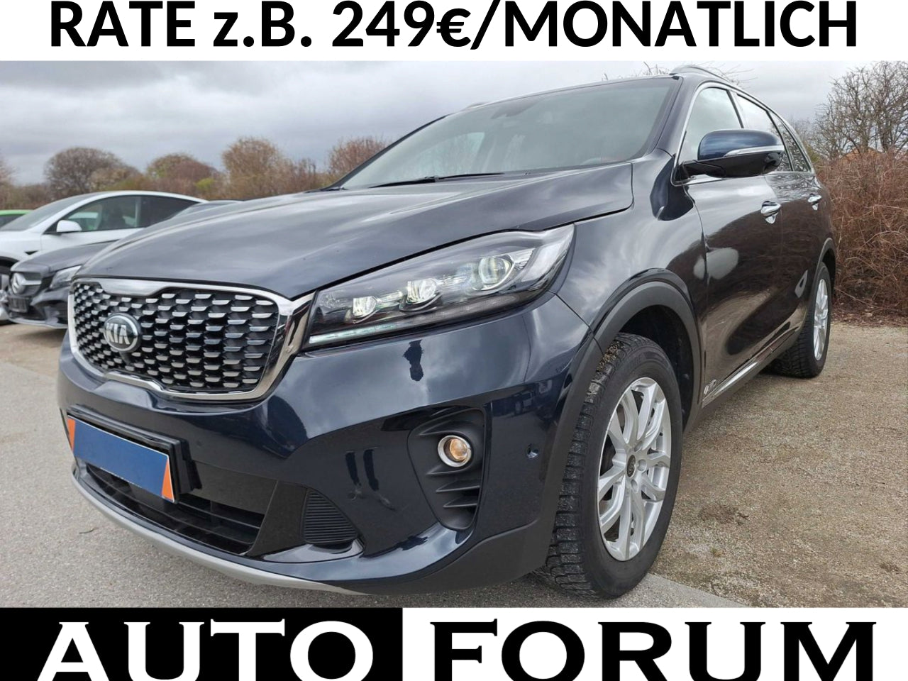 Kia Sorento 2.2 CRDi 4WD PLATINUM LEDER 360CAM H/K